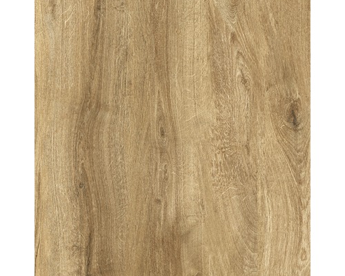 Porseleinen terrastegel Limewood Roble gerectificeerde rand 60 x 60 x 2 cm