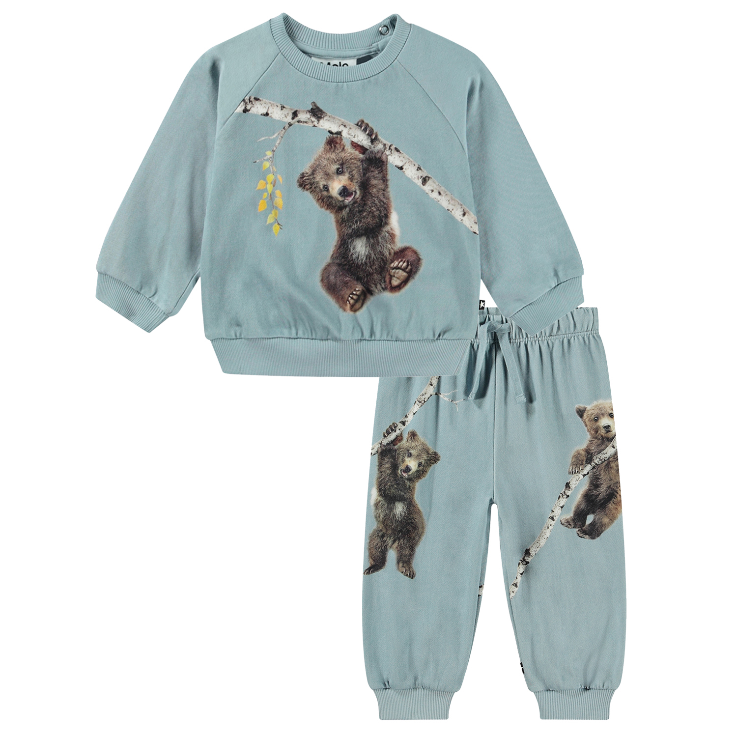 Disc set - Birch Tree Bear