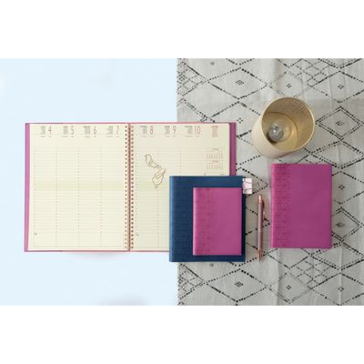 Exacompta Cordoba Easytime - Agenda de bureau 15 x 21 cm - 2025 - semainier - reliure à anneaux métalliques - 21S - ivoire - disponible dans différentes couleurs