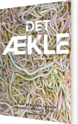 Det Ækle - Brian Benjamin Hansen - Bog