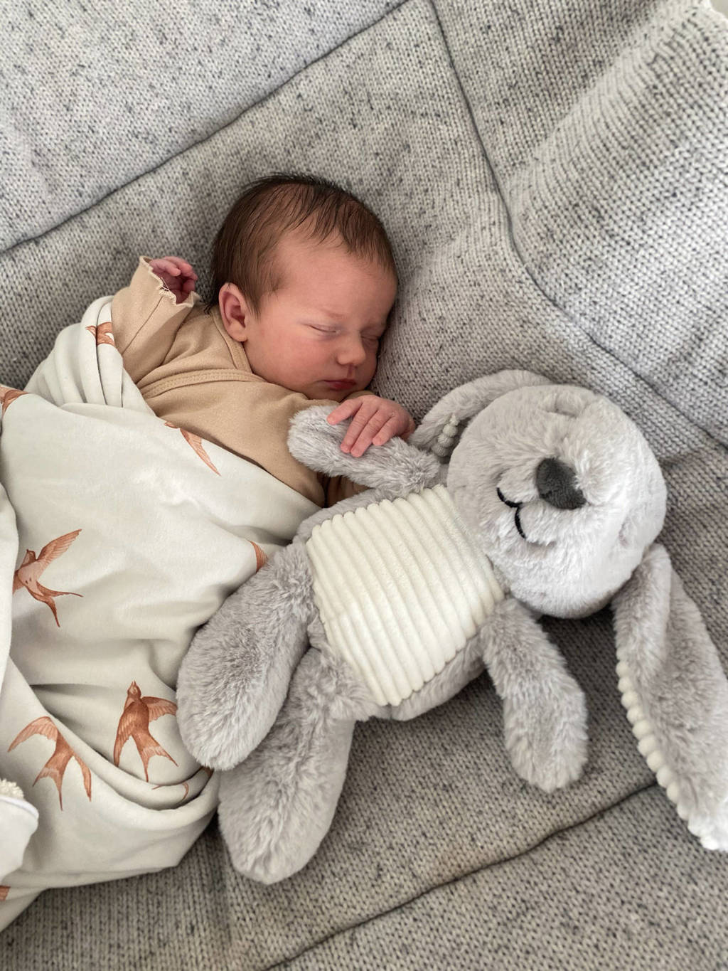 Heel handig hulpmiddel voor het slapen van de kleinehartslagknuffel milo konijn grijs - knuffel 18 cm