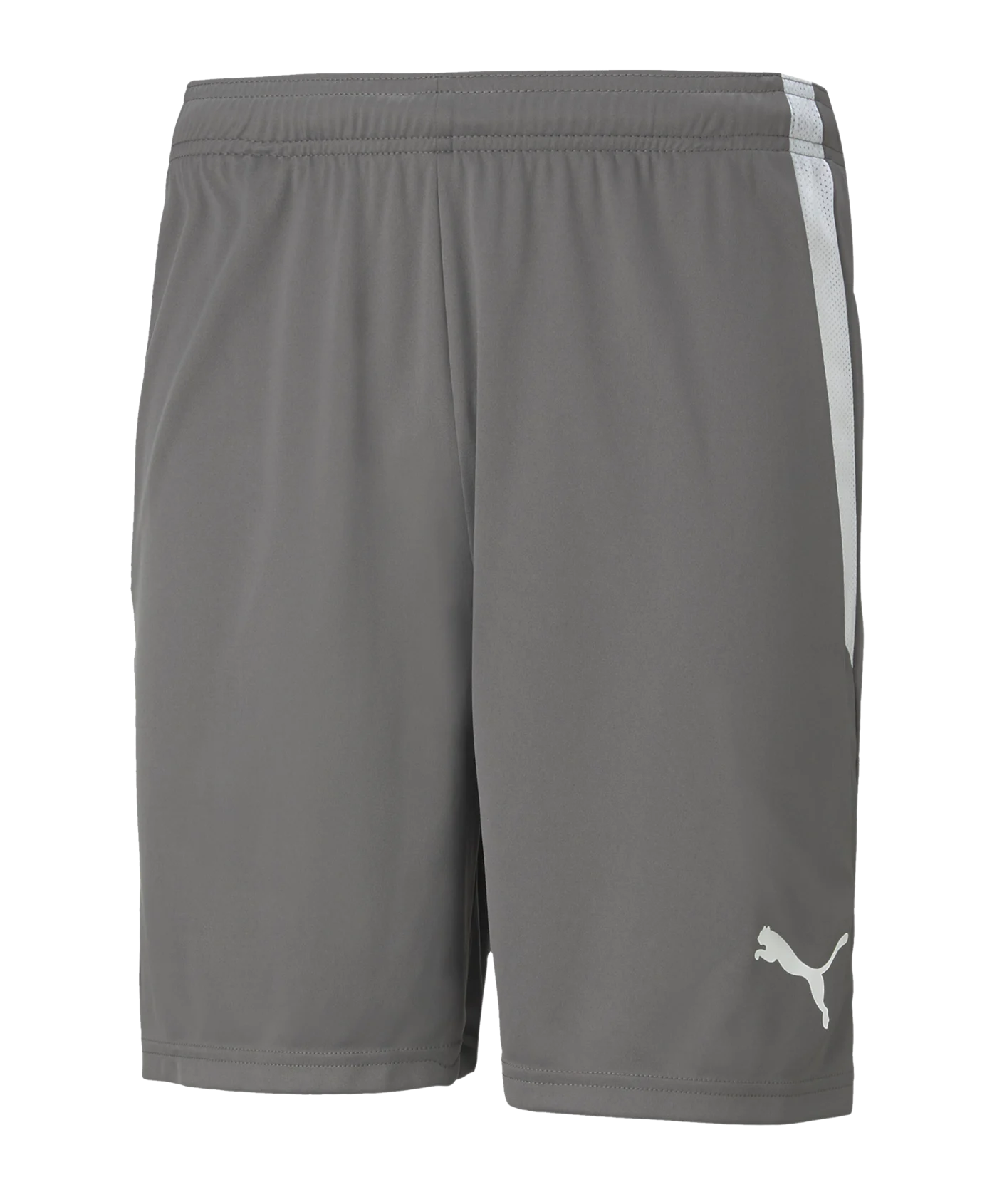 PUMA teamLIGA Short Grau Weiss F13