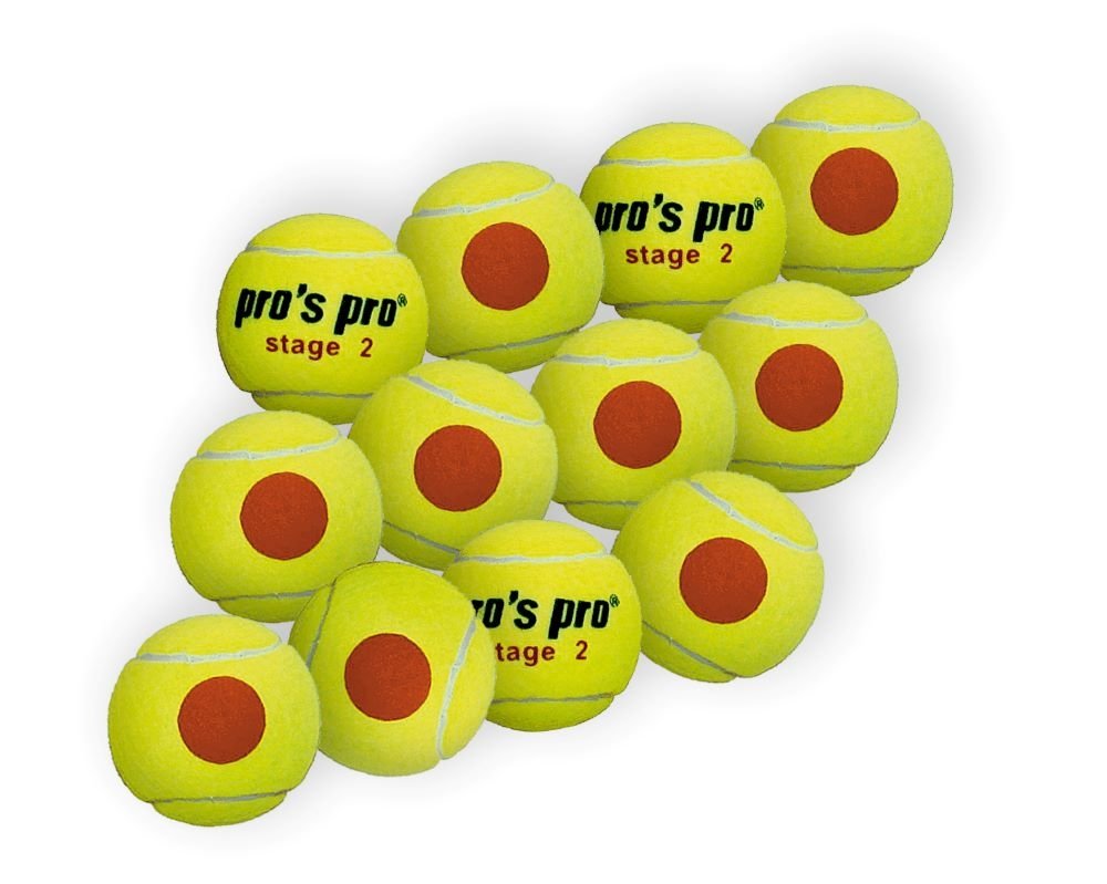 Pros Pro Stage 2 12er