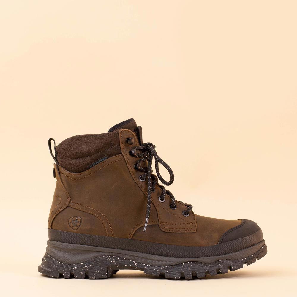Ariat mens Moresby bruin