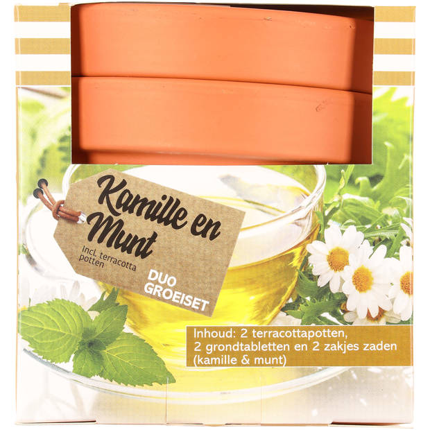 Cadeauset terracotta s/2 met zaadjes - 3 assorti