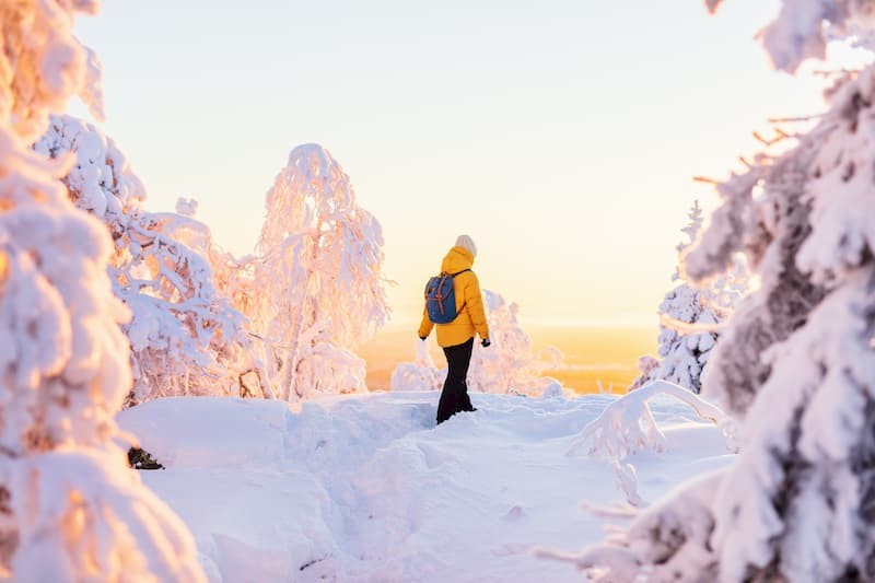 Excursiereis Finland: Ontdek Arctic Lakeland