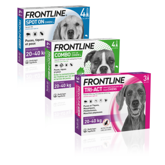 Frontline Combo soin antiparasitaire pour chiens