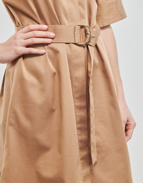 BOSS - Dashile1 Camel