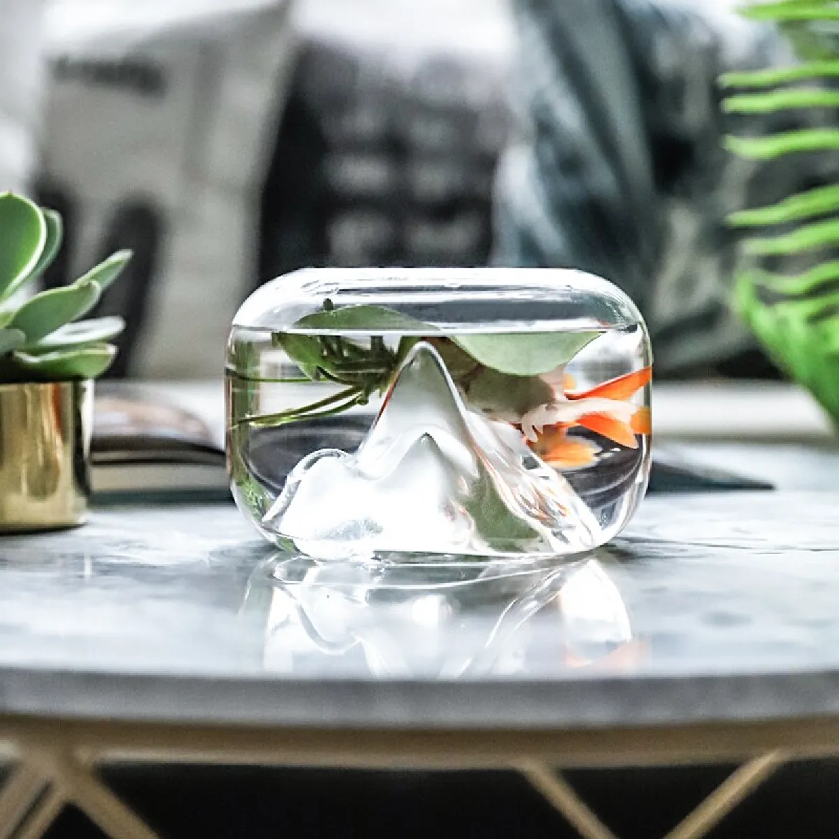 Universal Bol de Poisson Transparent