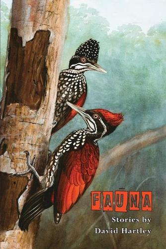 Fauna (Paperback)