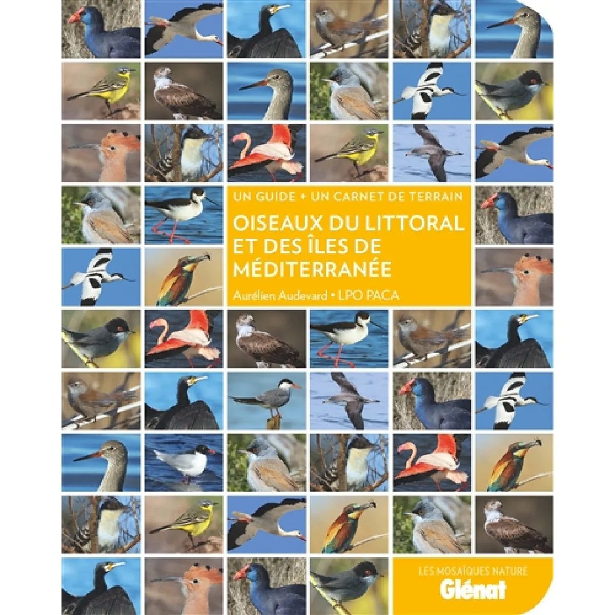 Oiseaux du littoral et des îles de Méditerranée : un guide + un carnet de terrain · Occasion