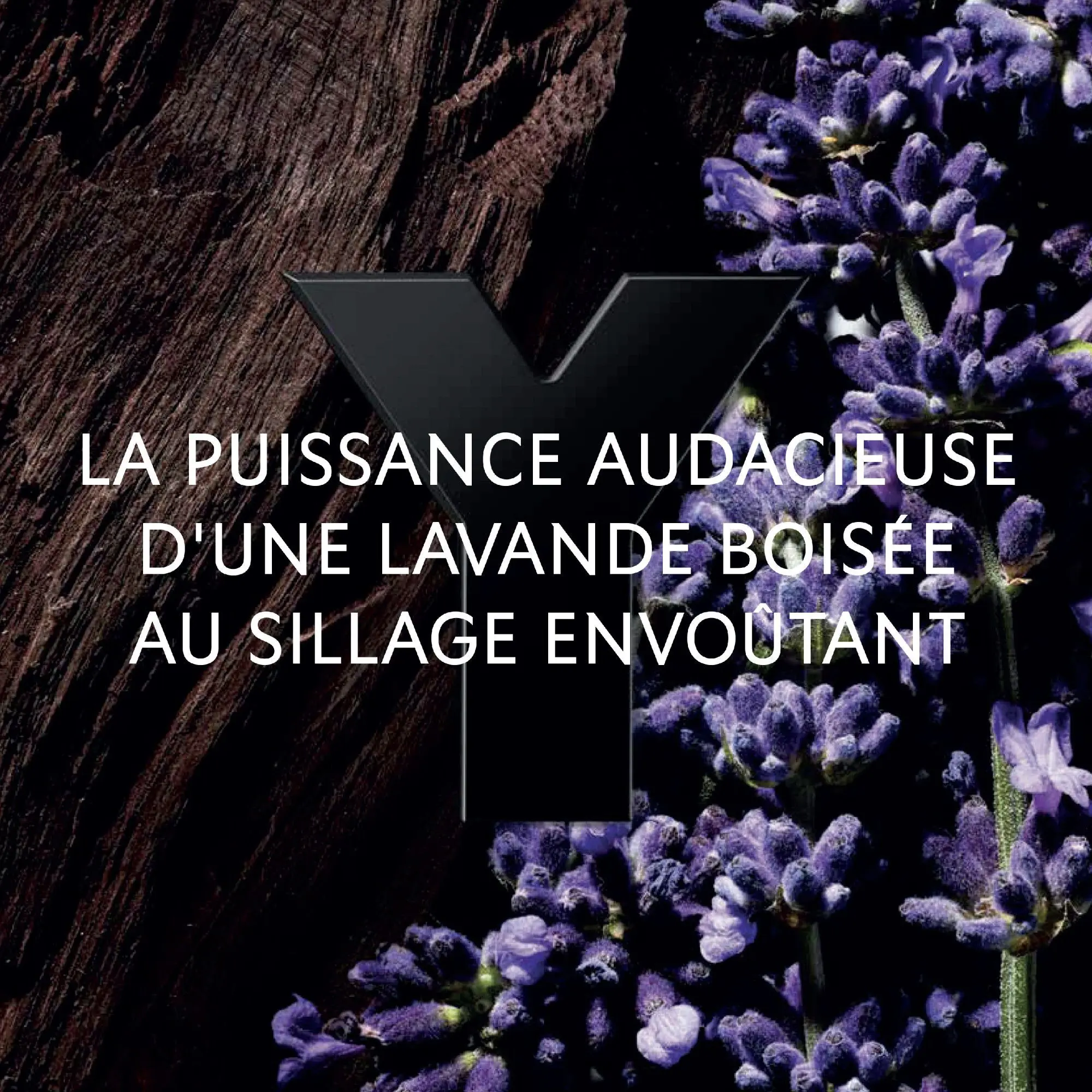 Yves Saint Laurent - Y Le Parfum Eau De Parfum- Eau de parfum