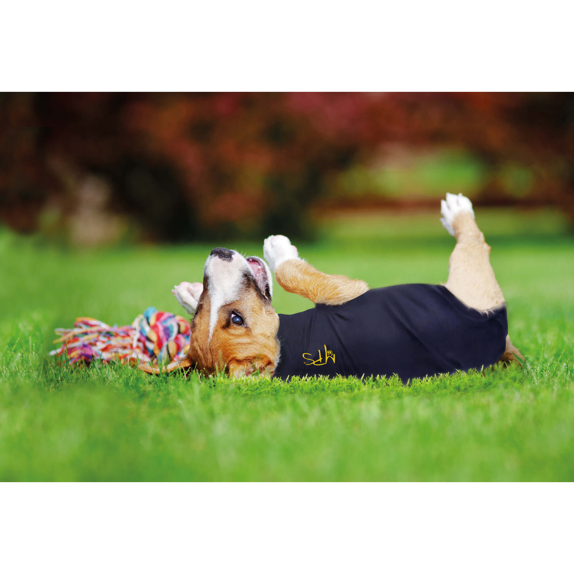 Medical Pet Shirt Hond