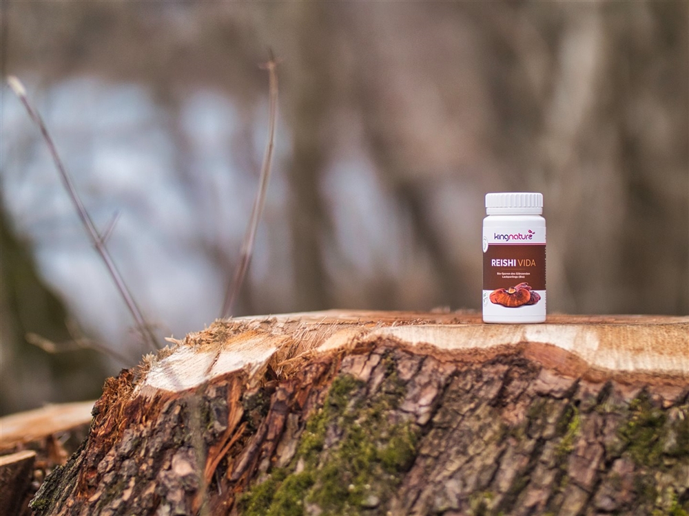 KINGNATURE REISHI VIDA Kaps 300 mg Bio Sporen Ganoderma Lucidum Ds 120 Stk