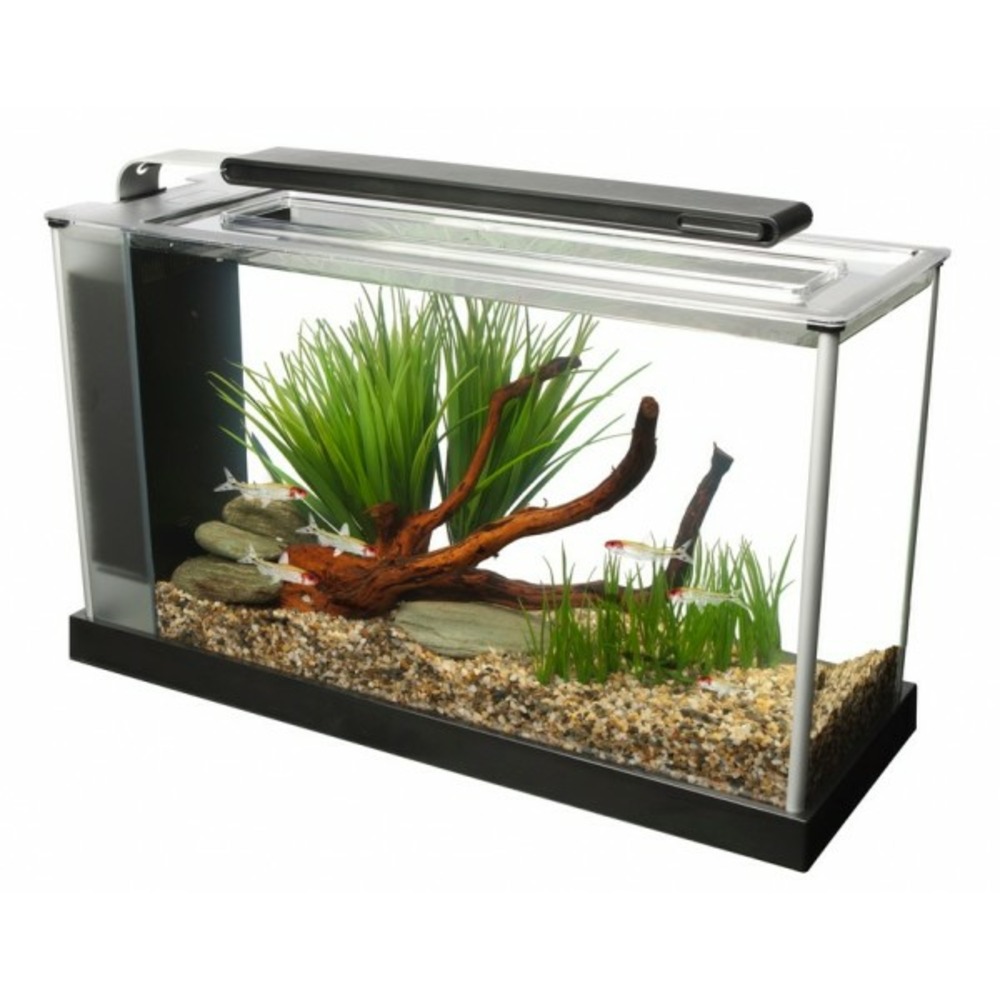 Aquarium spec noir 19l