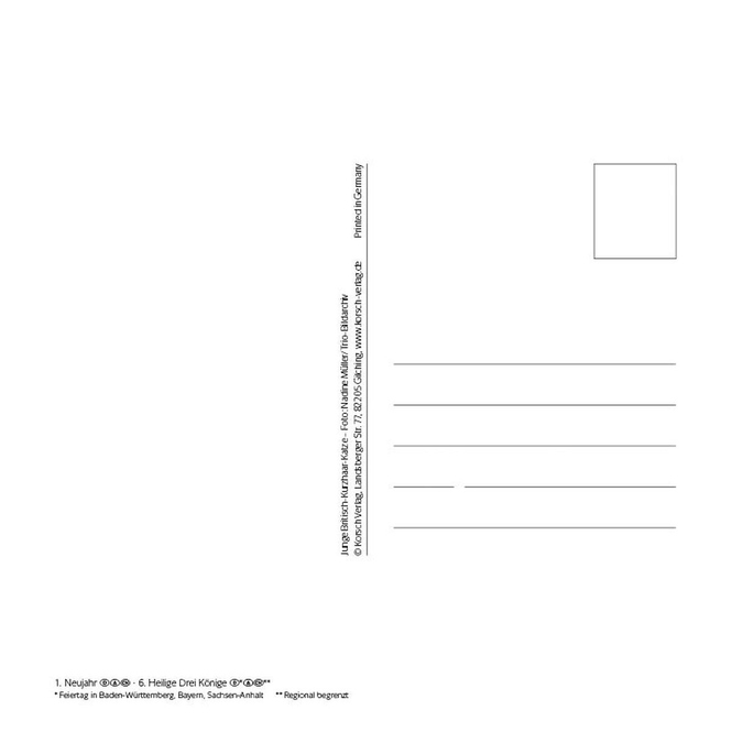 Postkartenkalender - Schmusekatzen - 2024