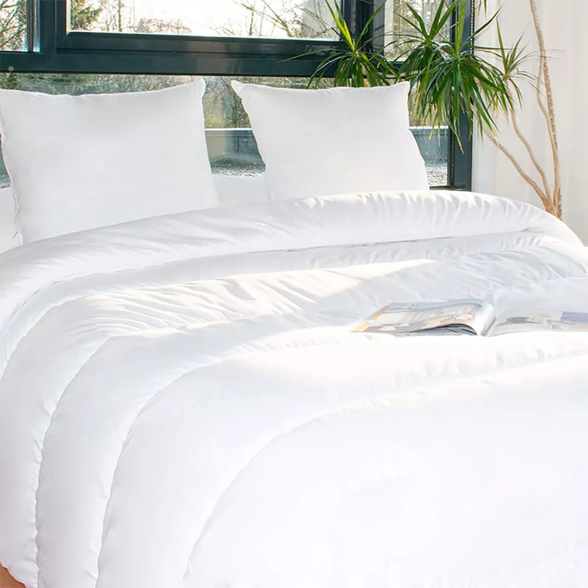 Lot Couette chaude anti-acariens (280 x 240 cm) + 2 Oreillers (60 x 60 cm) Comète Blanche