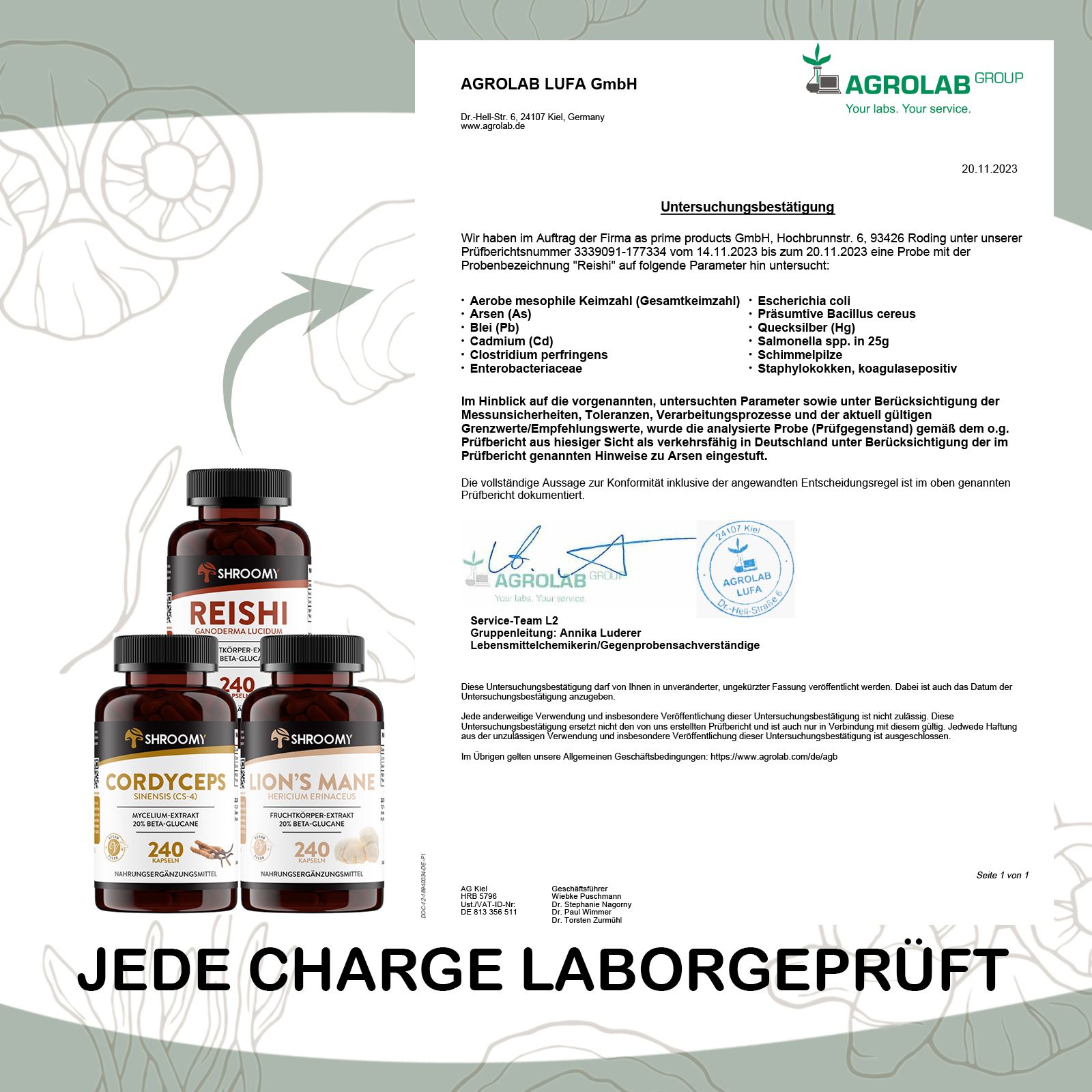 SHROOMY Lions Mane, Cordyceps und Reishi Extrakt Kapseln im Set