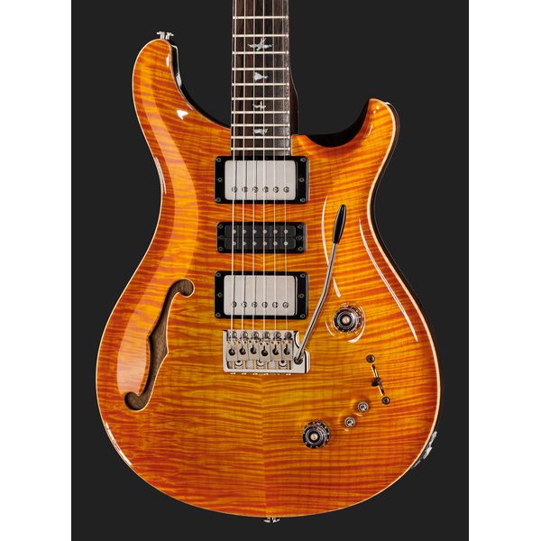 PRS Special 22 SH Private Stock CG