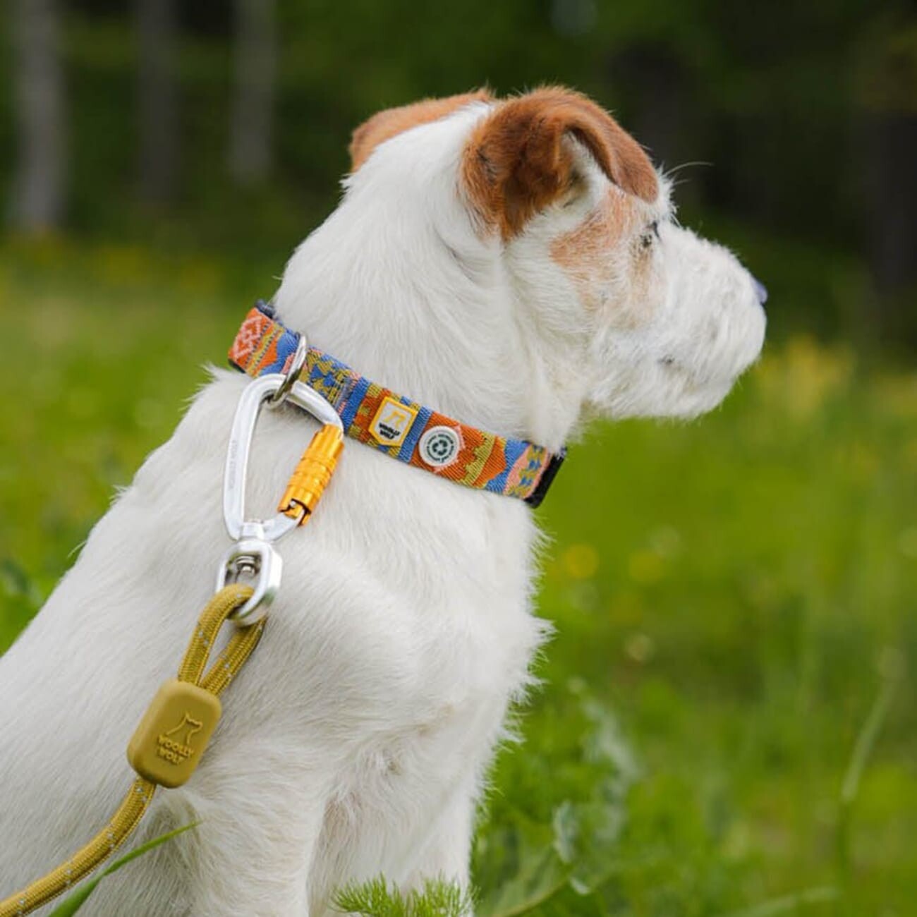Woolly Wolf Halsband Nightless Night XS