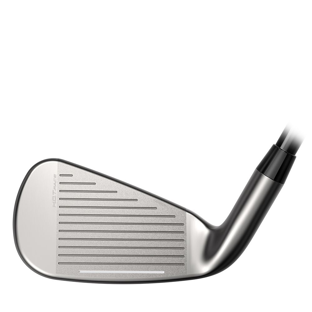DS-Adapt Wedge Grafitt