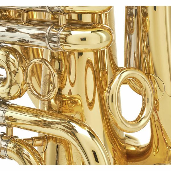 ZO Bb-Travel Euphonium ZEU-800L