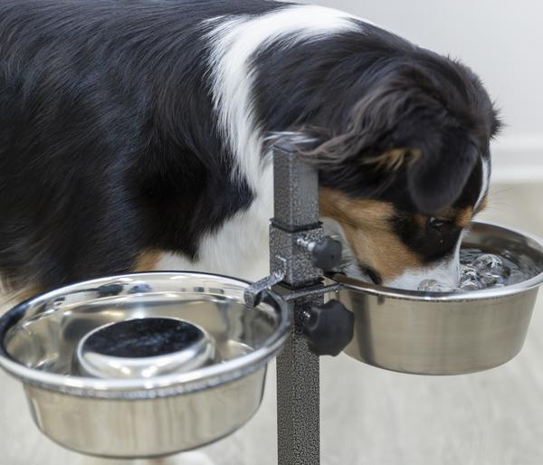 Trixie Hundebar