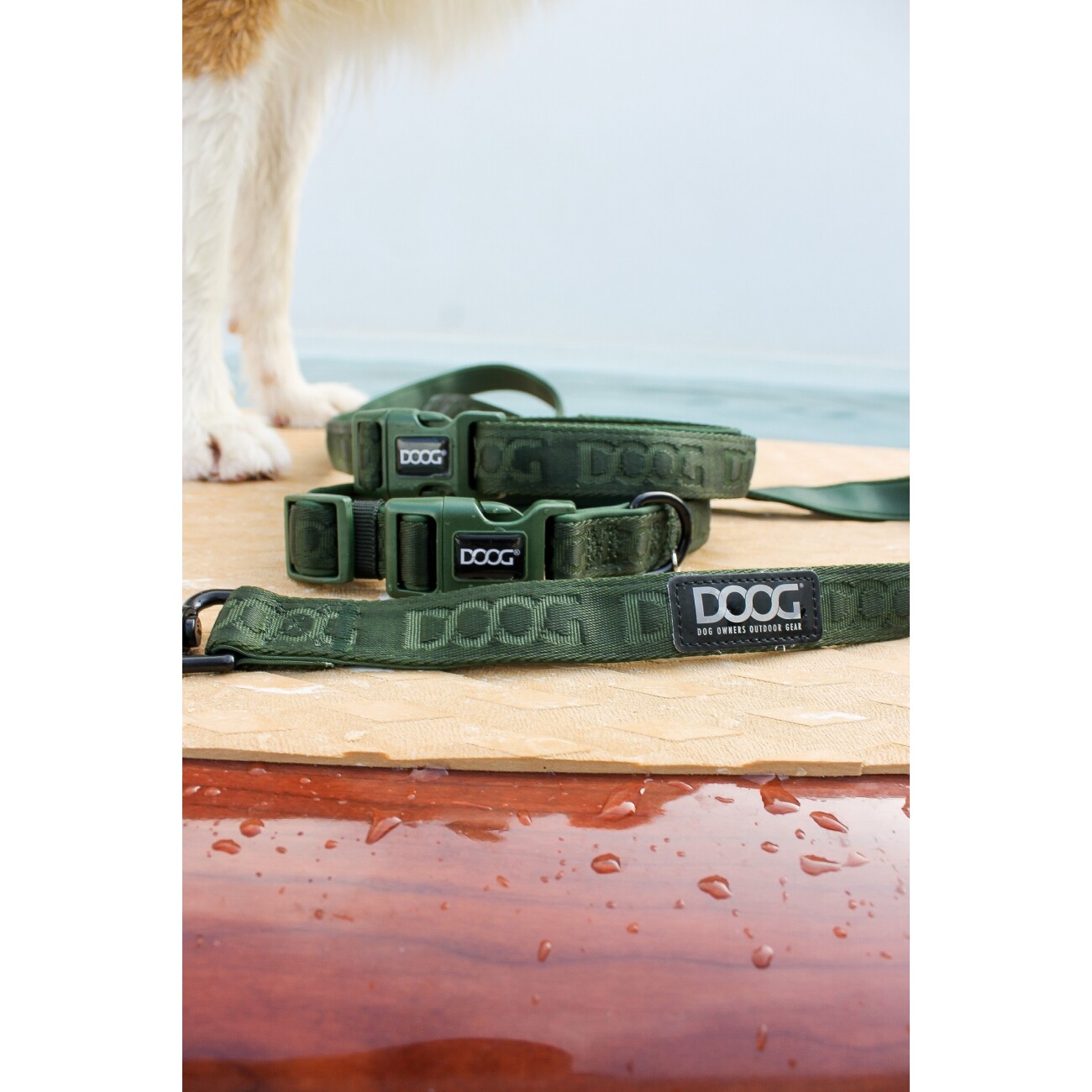 DOOG Neosport Leine CLIP-IT grün XL