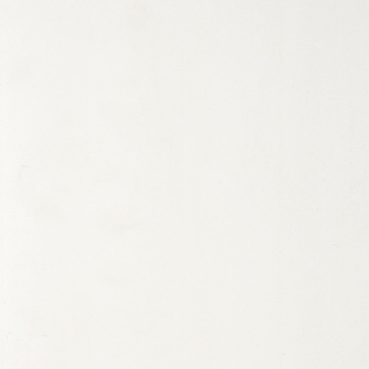 Lambris PVC Dumapan blanc 260 x 10 x 10 cm Dumaplast
