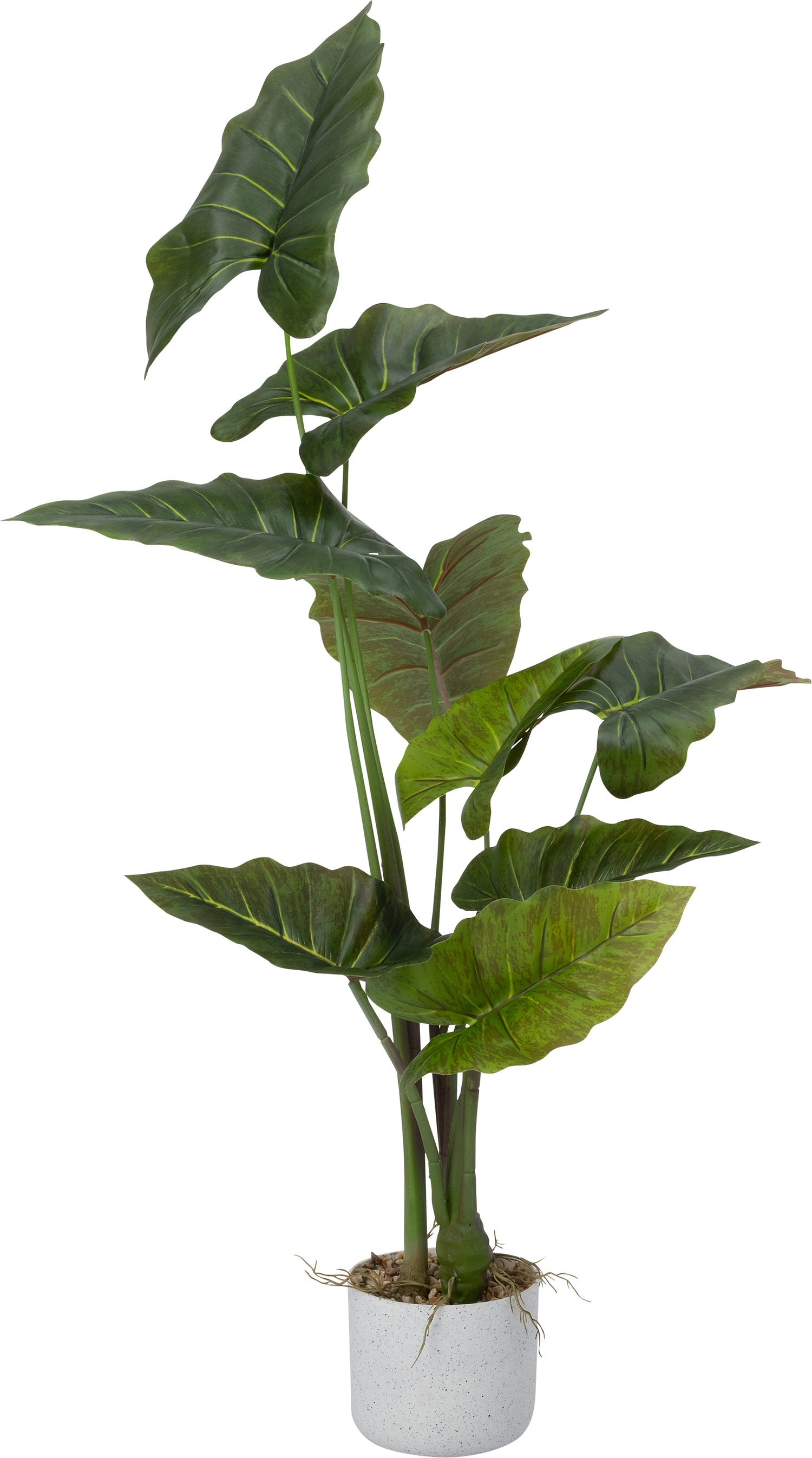 Intratuin kunstplant Alocasia H 95 cm