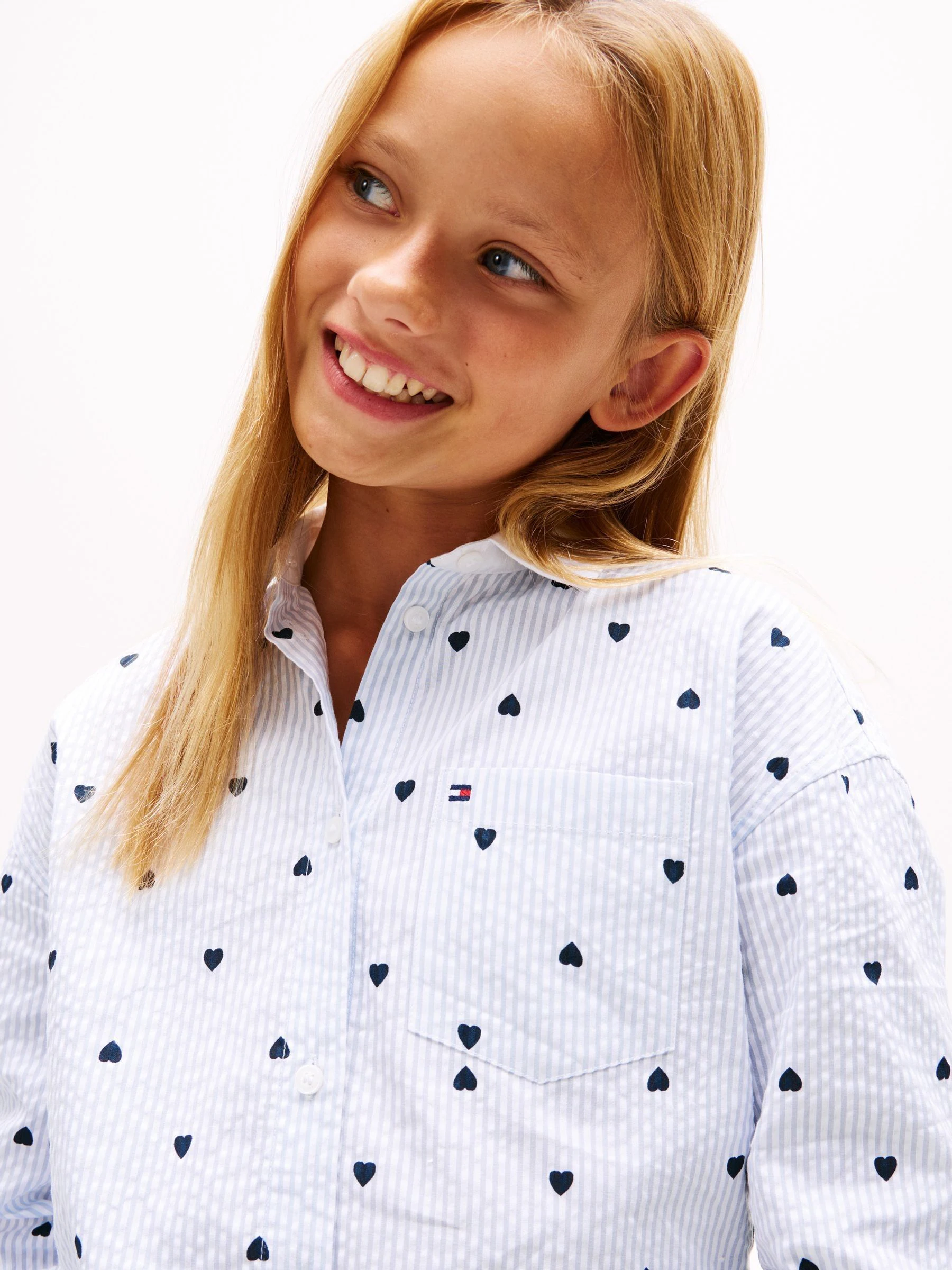 Tommy Hilfiger Stripe Long Sleeve Shirt