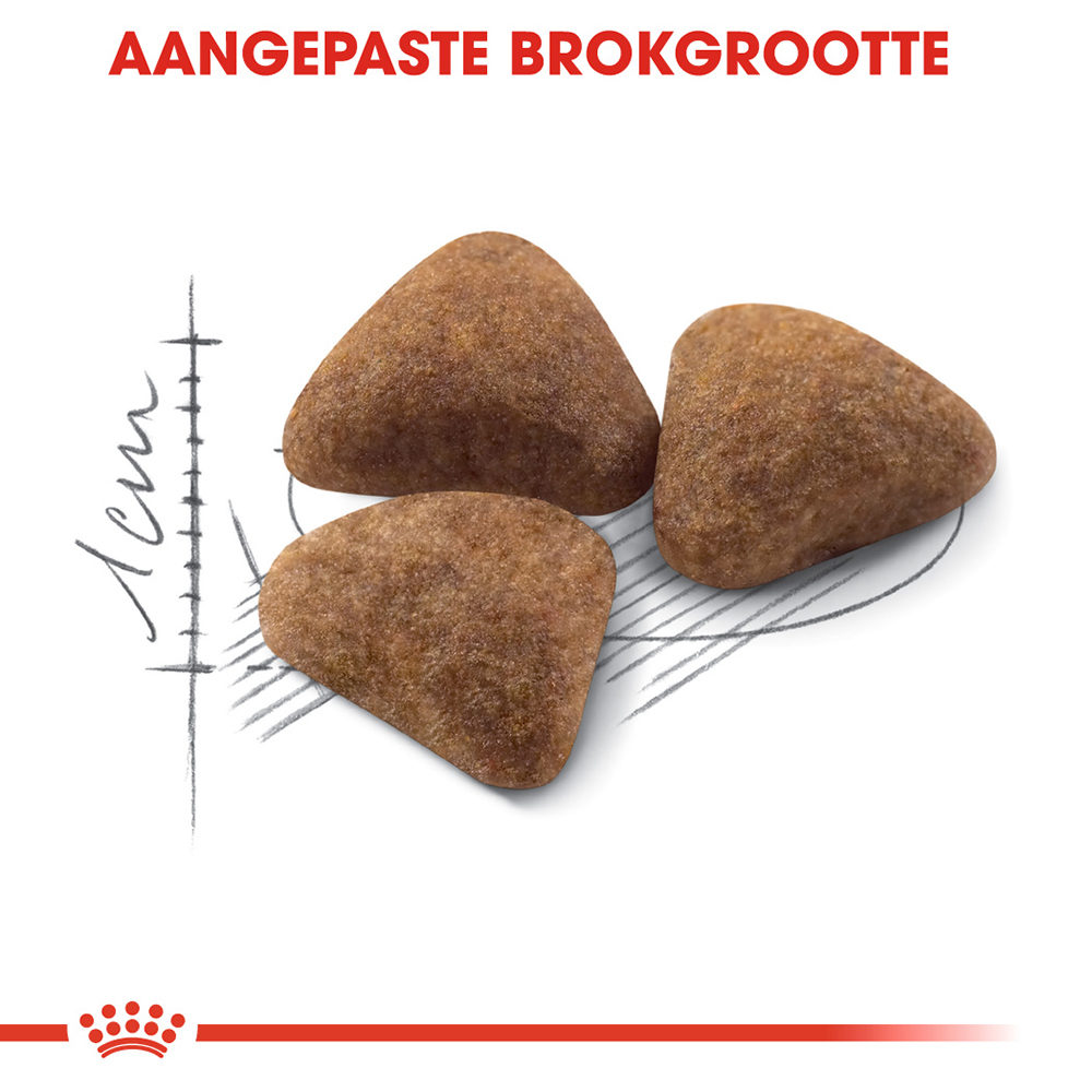 Royal Canin Indoor 27 - Kattenvoer
