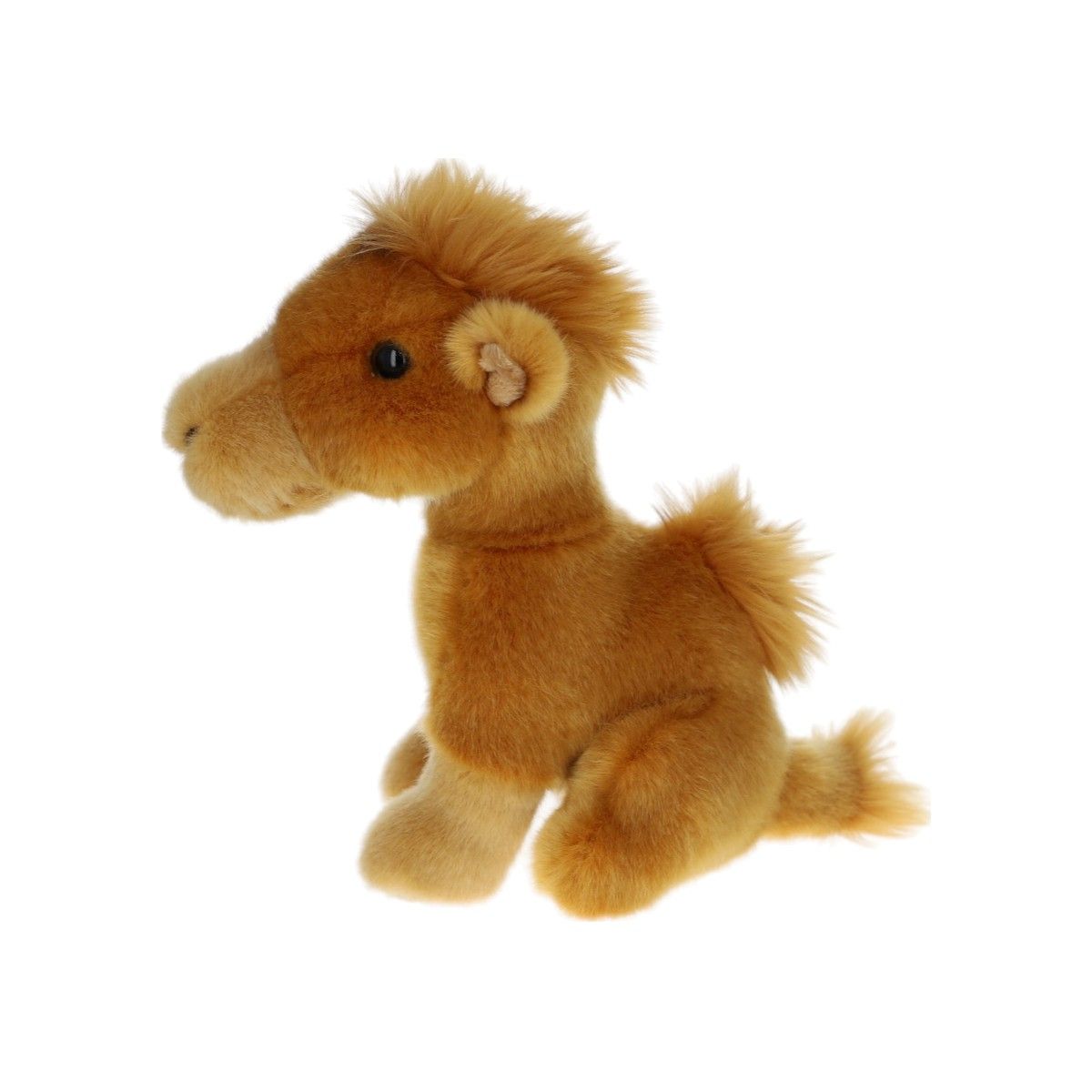 Peluche dromadaire - Sahara Mercredi et Patati