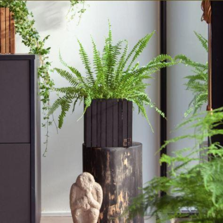 Squarely Copenhagen GrowON plantenbak incl waterreservoir 22x22 donker eiken