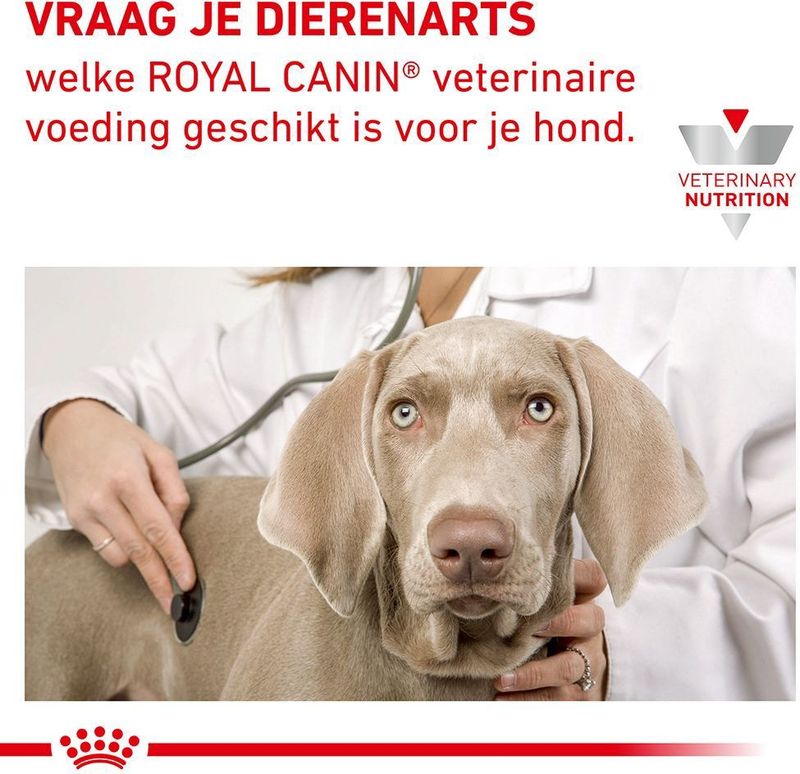 Royal Canin - Veterinary Canine Anallergenic - Droogvoer - 3kg