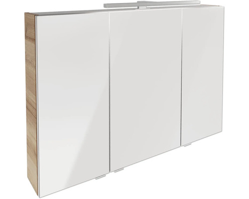 FACKELMANN B.Brillant spiegelkast, 100 x 15,1 x 68 cm, eikenhout, 2-deurs, LED, IP 20