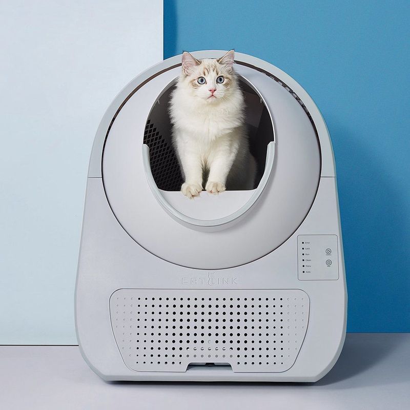 Catlink - Scooper Young - Zelfreinigende Kattenbak - Grijs