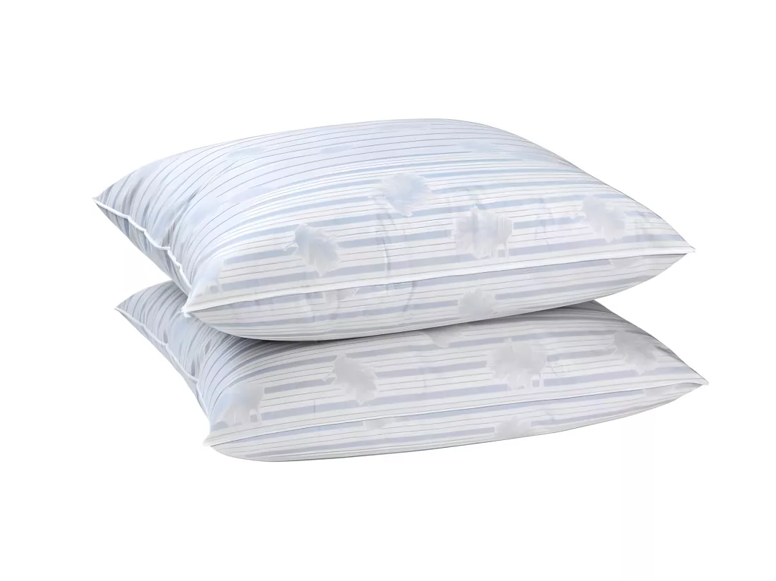 BLANREVE Lot de 2 oreillers - 60x60 cm