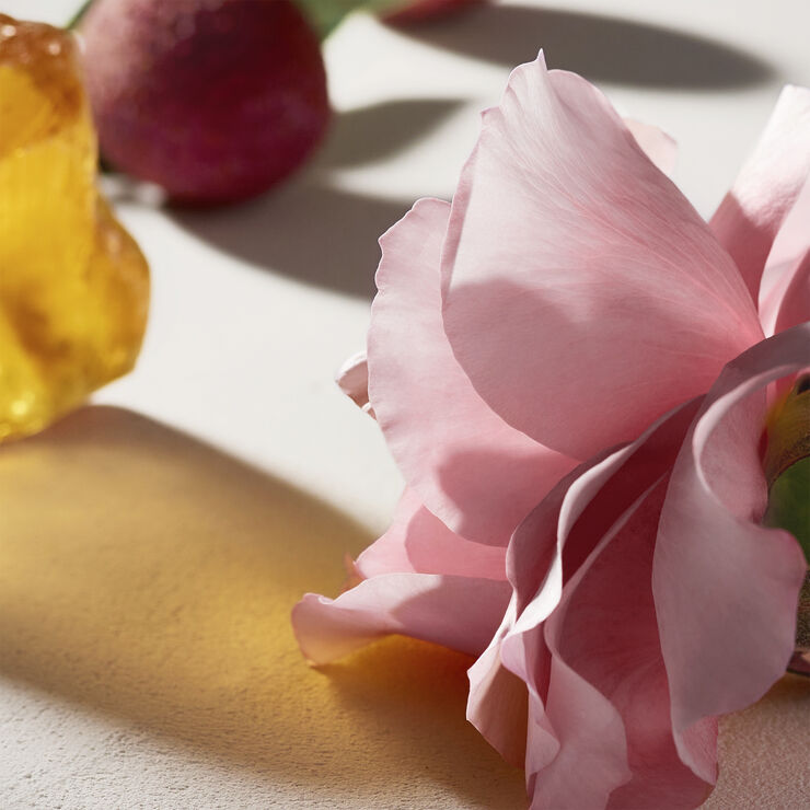Chloé Chloé Eau de Parfum