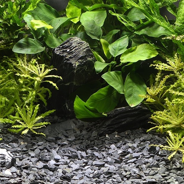 Dennerle Natuur Grind Kongo 3-8mm 2,5kg | Bodembedekking
