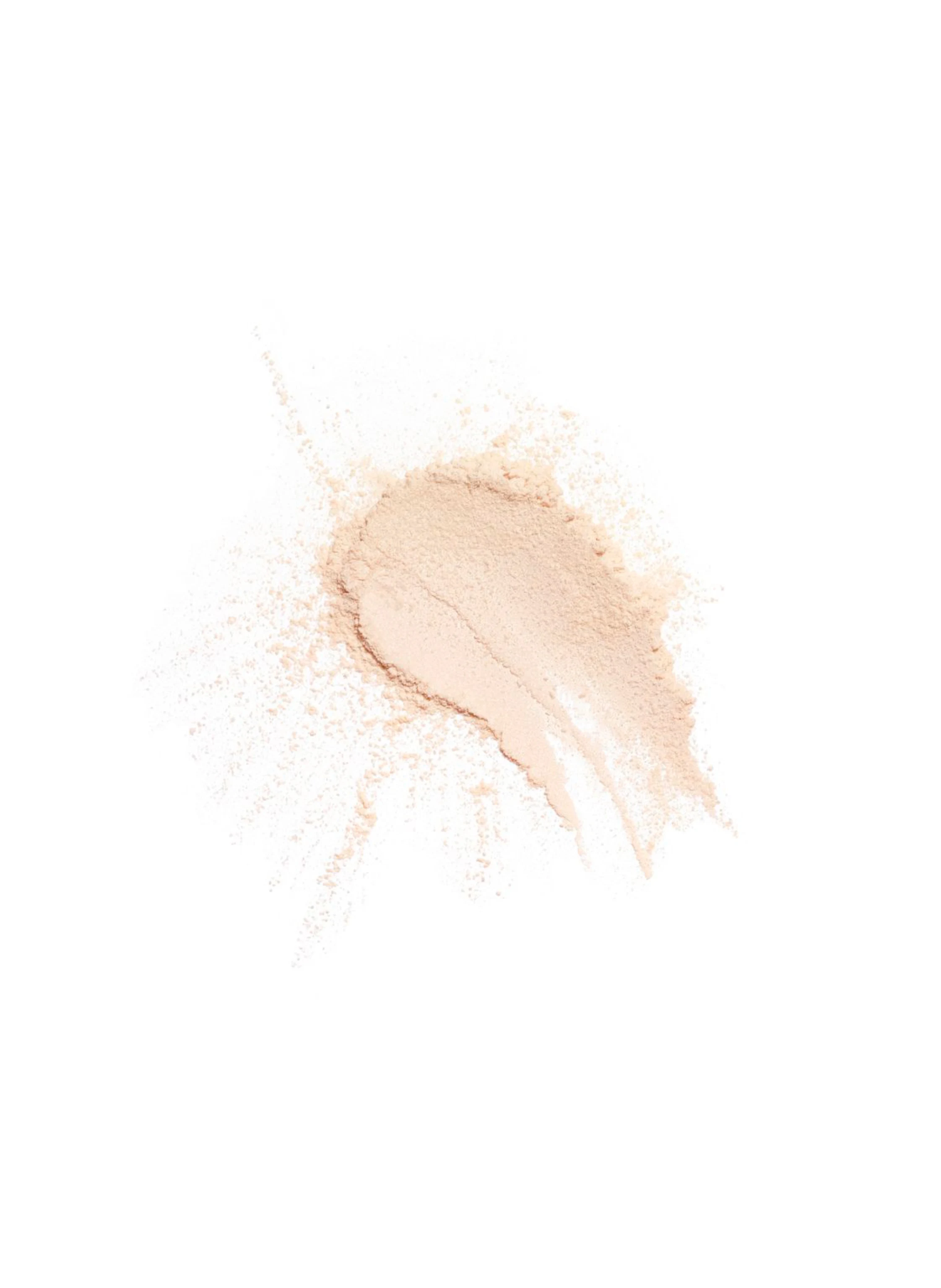 CHANEL POUDRE UNIVERSELLE LIBRE