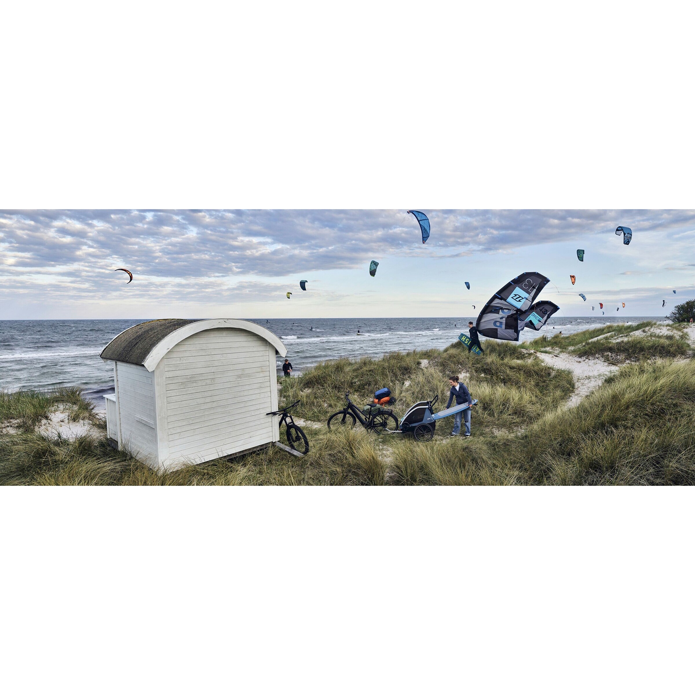 Thule Courier Fahrradanhänger aegean blue