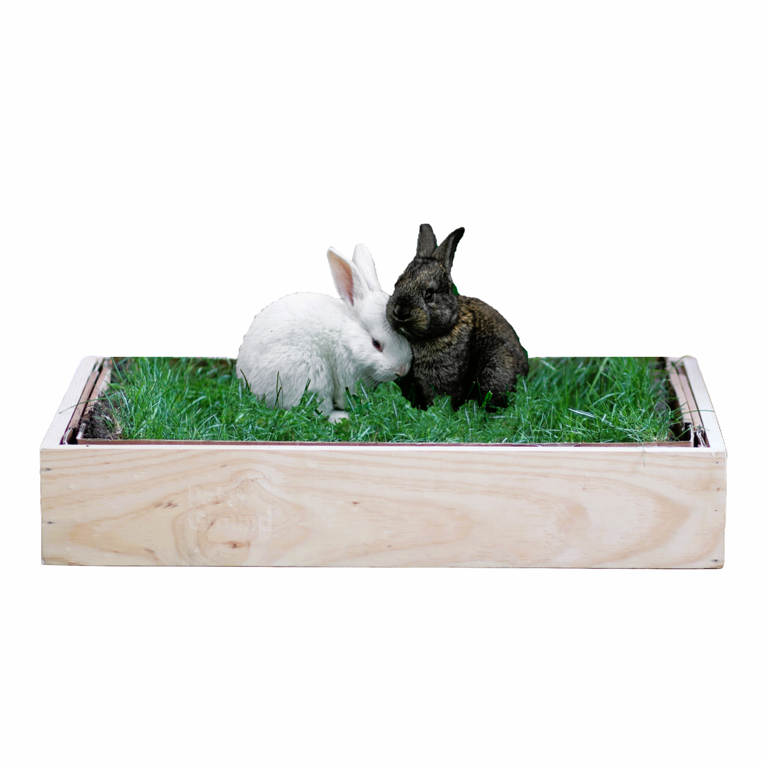 Petground, Cama para Coelho, Caixa de Madeira, Acessório, Mobiliário, Padrão