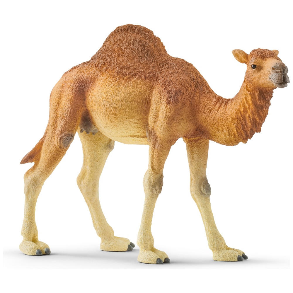 Schleich Dromedar