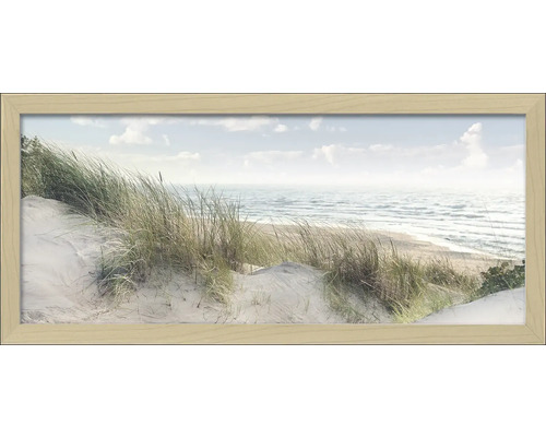 Ingelijste foto Oostzeekust 60x130 cm
