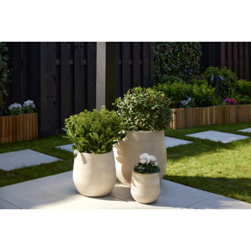 Schutting Royal grenen hout antraciet 180 x 180 cm
