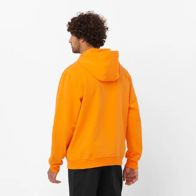 SALOMON LOGO PERFORMANCE  Kapuzensweatshirt Herren