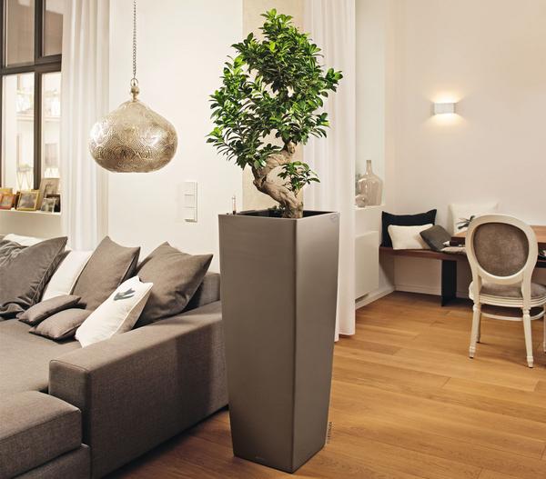 LECHUZA® CUBICO ALTO, All-in-One-Set, ca.