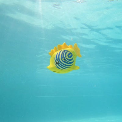 Swimways Rainbow Reef Fish - Sebra Fisk