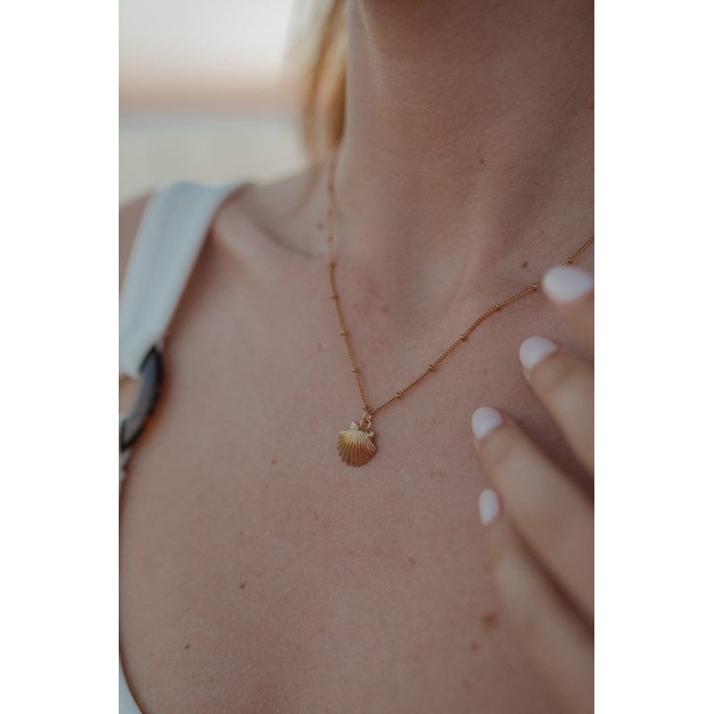 collier coquillage plaqué argent - NÉRÉE